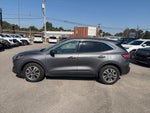 2021 Ford Escape Hybrid SEL